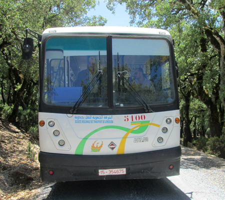 Les bus urbains à transport normal